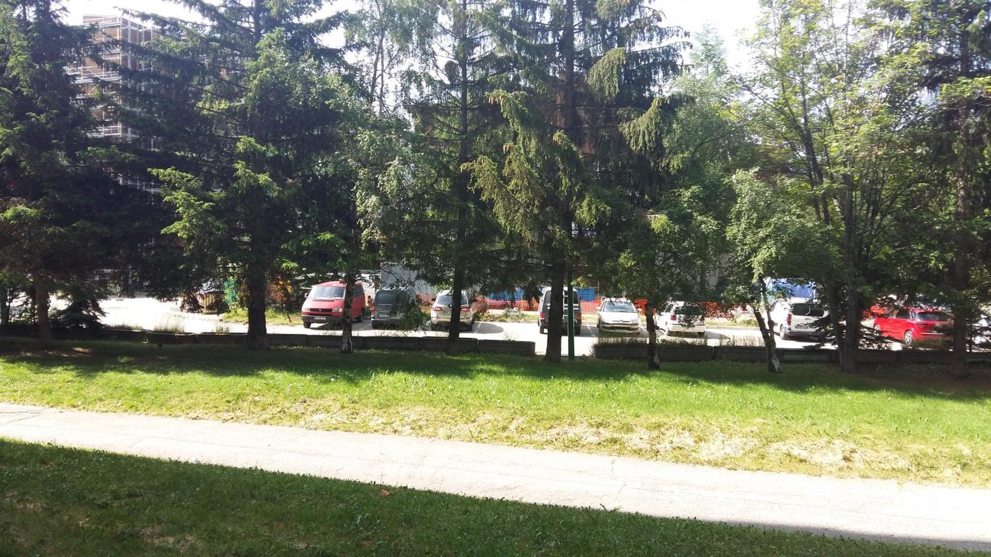 Le Tyrol Διαμέρισμα Λε Ντεζ Αλπ Εξωτερικό φωτογραφία